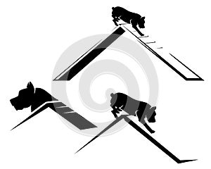 Dog training agility sport vector design