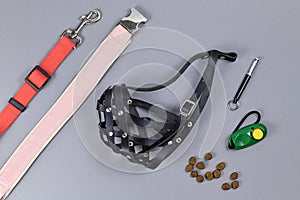 Dog training conept with tools like clicker, dog whistle, leash, collar, treats and restraining muzzle on gray background photo