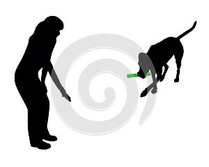 Dog training (obedience)
