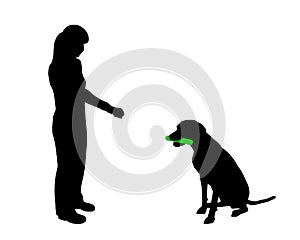 Dog training (obedience)