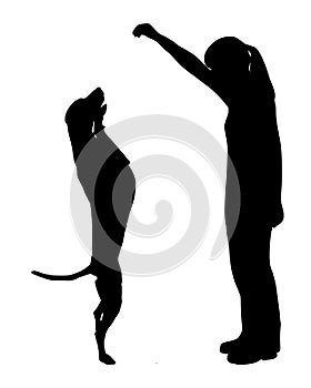 Dog training (obedience)