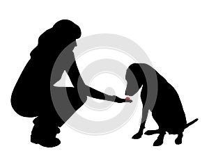 Dog training (obedience)