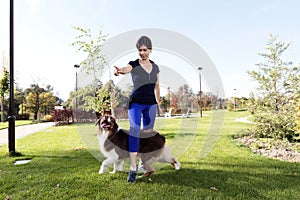 Dog Training Professional Handler Relationship Outdoor Park Practice Teaching Australian shepherd Outdoor