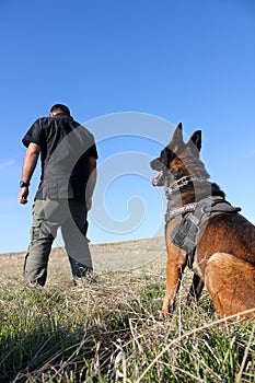 Dog Training, Show Dogs of War, to learn the human language. Dogs can follow orders well.