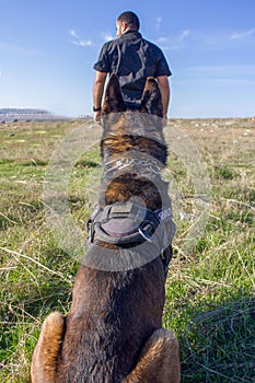 Dog Training, Show Dogs of War, to learn the human language. Dogs can follow orders well.