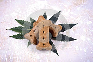 Dog treat and cannabis leaves - medical marijuana for pets concept