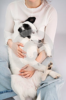 Dog trust and protection. Cuddling with adorable black and white outbred dog. photo