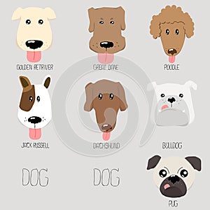 Dog type cartoon illustration
