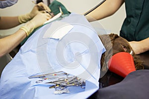 Dog Undergoing Surgery At Vets