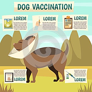 Dog Vaccination Orthogonal Background Poster