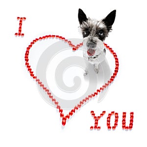 Dog valentines love heart
