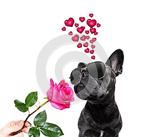 Dog valentines love heart mothers and fathers day
