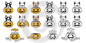 Dog vector french bulldog pumpkin Halloween bone icon logo symbol character cartoon illustration doodle design