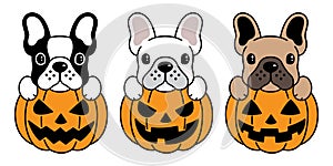 Dog vector french bulldog pumpkin Halloween icon logo cartoon illustration symbol