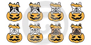 Dog vector french bulldog pumpkin Halloween icon logo symbol cartoon character illustration doodle design