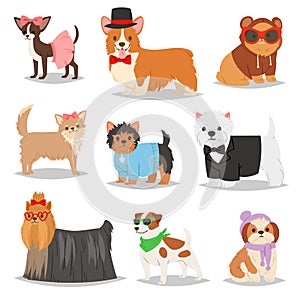 Dog vector puppy pet animal doggie character in canine clothing of domestic dog-breeding illustration doggish set of