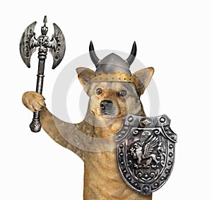 Dog viking in helmet with horns