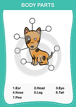 Dog vocabulary part of body,Write the correct numbers of body parts