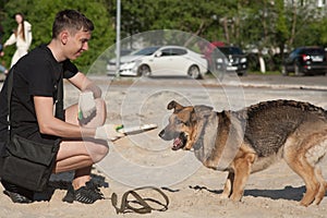 Dog on a walk with the owner in the summer. Walk with a loyal friend of the German Shepherd. Summer evening on a walk with a frien