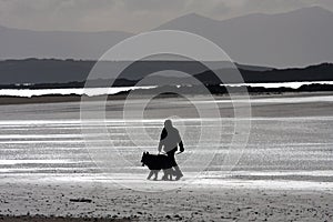 Dog walker on the beach