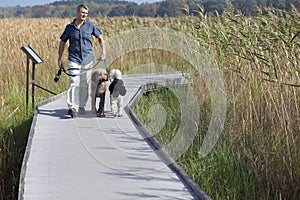 Dog Walker on Boardwalk