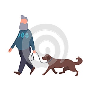 Dog walker walking pet outdoor. Senior stroll with labrador. Cartoon flat vector character. Pet walking service concept