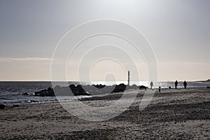 Dog walkers on the beach on a winter morning