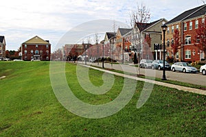 Dog walking area in a residential neighborhood