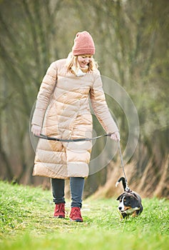 Dog walking and exercising. Command training