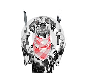 Dog wants to eat and hold knife and fork