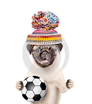 Dog in warm hat holding a soccer ball. isolated on white background