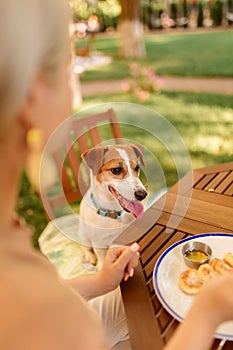 Dog watch a woman eat in the open air