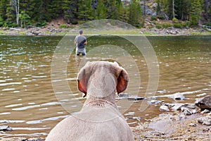 Dog Watches Fisherman