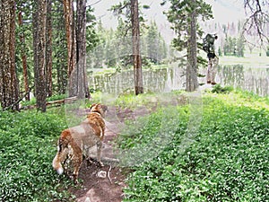 Dog Watching Hiker By Lake Digital Art