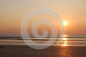 Dog watching the sunset...