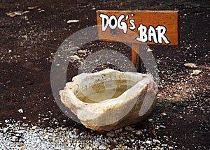 Dog water bowl with wooden sign `Dog`s bar`.