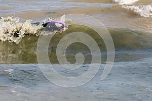 Dog in wave in sea with puller