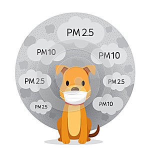 Dog Wearing Air Pollution Mask For Protect Dust PM2.5, PM10, Smoke, Smog