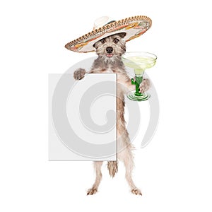 Dog Wearing Sombrero Holding Margarita and Sign photo