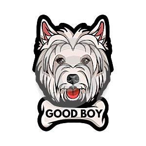 Dog West Highland White Terrier face with bone. Good boy lettering. Vector illustration.