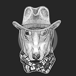 Dog. Wild west. Traditional american cowboy hat. Texas rodeo. Print for children, kids t-shirt. Image for emblem, badge