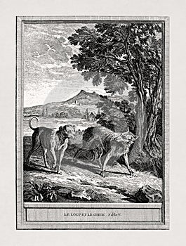 The Dog and the Wolf by Jean-Baptiste Oudry