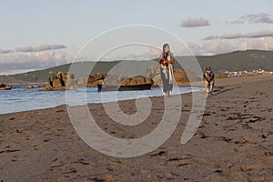 dog and woman walking on the beach sand