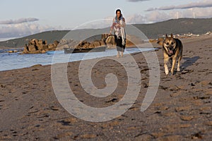 dog and woman walking on the beach sand