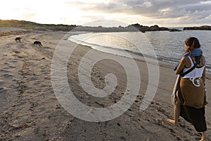 dog and woman walking on the beach sand