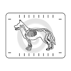 Dog x-ray icon in outline style isolated on white background. Veterinary clinic symbol stock vector illustration.