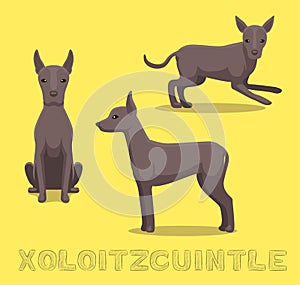 Dog Xoloitzcuintle Cartoon Vector Illustration