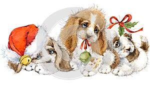 Dog year greeting card. cute puppy watercolor illustration.