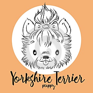Dog, yorkshire Terrier Puppy head isolated and inscription. Vector illustration, design element for cards, banners