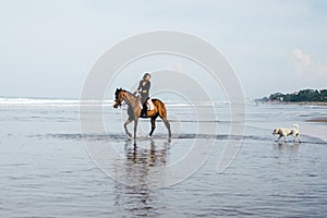 dog and young female equestrian riding horse